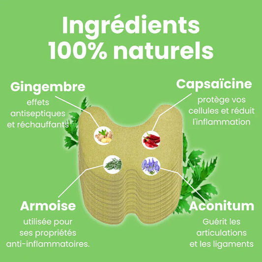 Patch thérapeutiques SaluVera-Anti-Douleur Pour Dos Naturel – Soulagement Rapide, Efficace