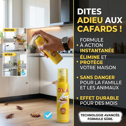 🛡️ Spray Anti-Insectes Ultime – Dites adieu aux nuisibles, naturellement !